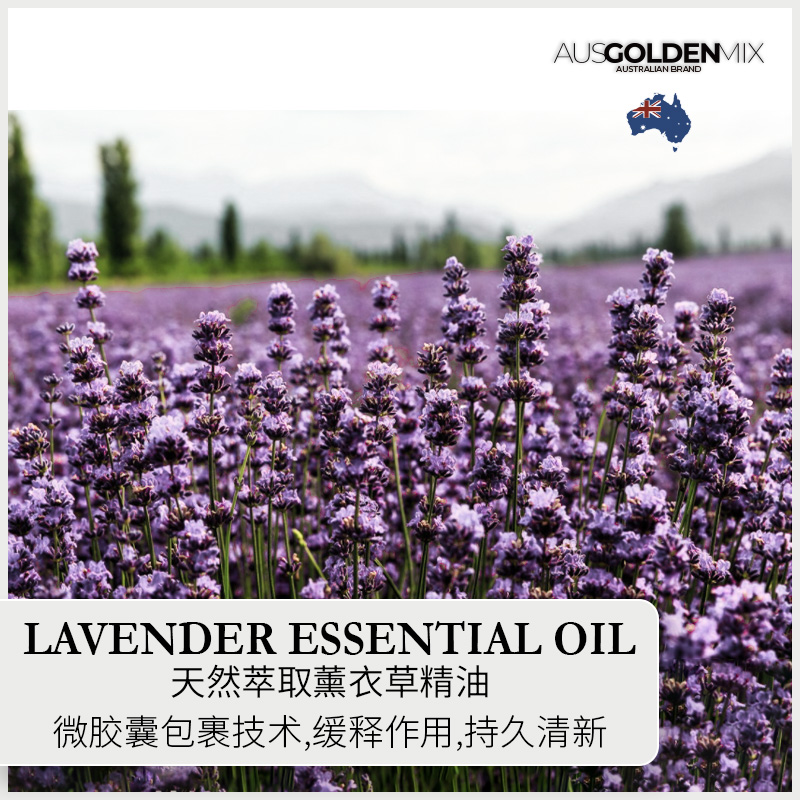 AUSGOLDEN MIX霍恩比四件套