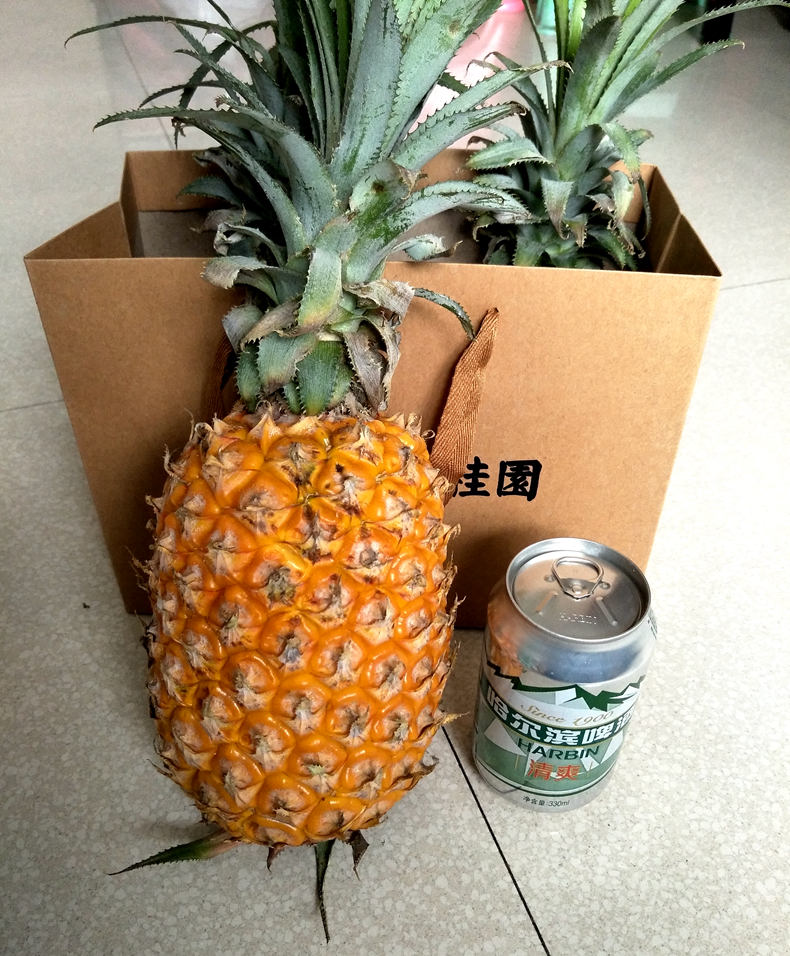 20190421153258_3900.jpg
